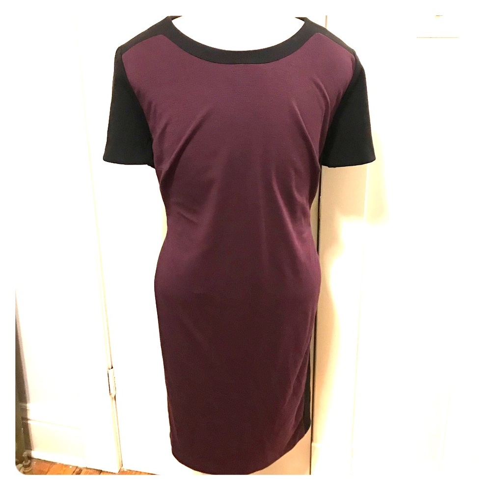 Purple & Black Color Block Dress Plus Size 22W/24W